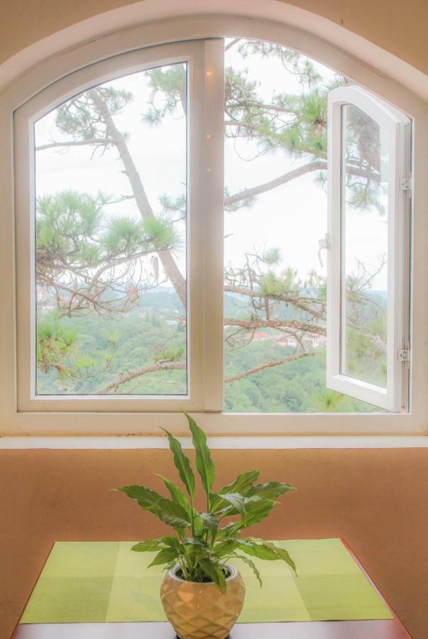 Mimosa Phuong Nam Hotel ダラット エクステリア 写真